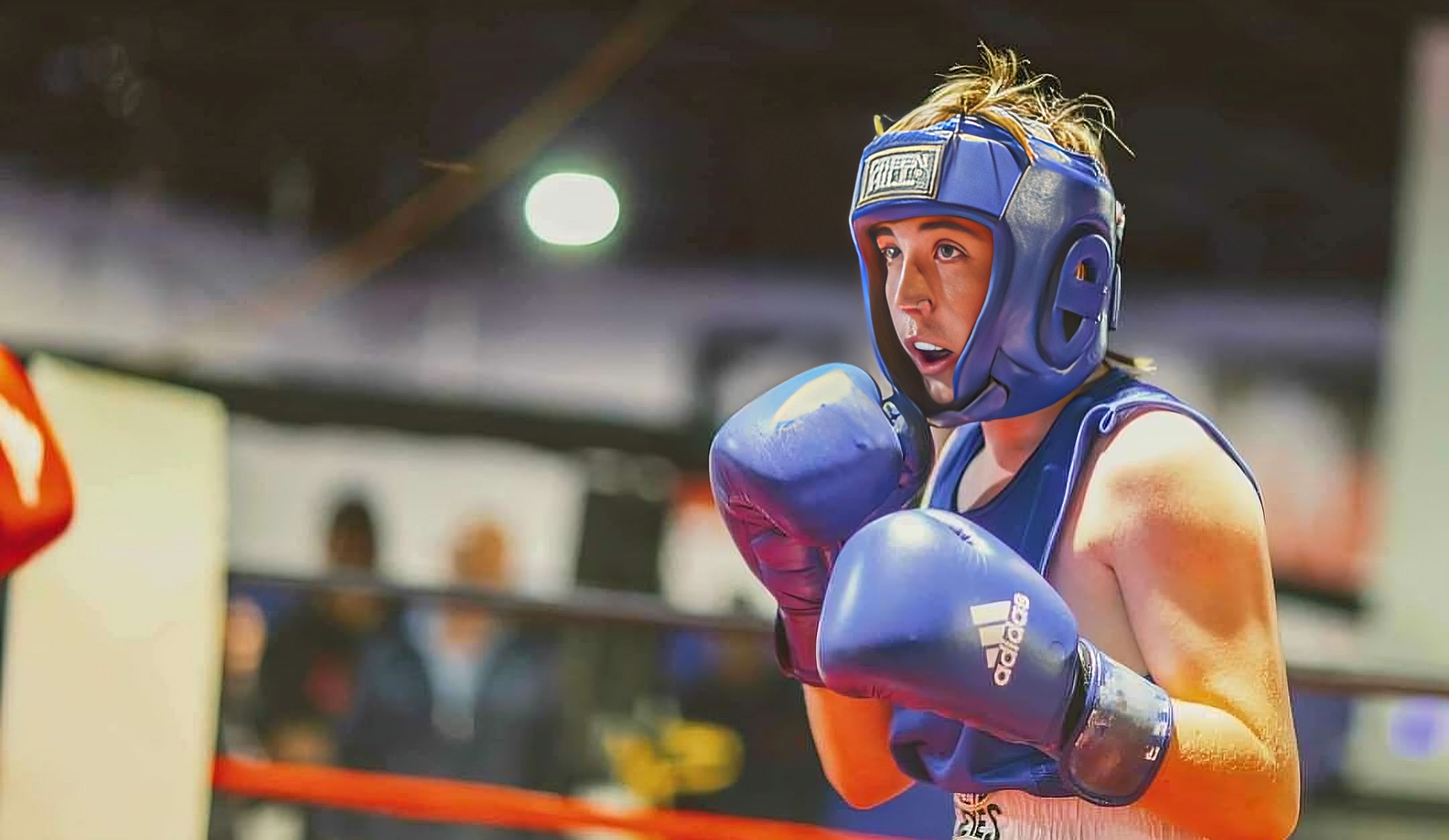 Boxer Image